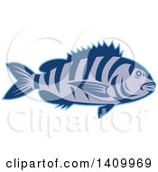 Poster, Art Print Of Retro Swimming Sheepshead Fish