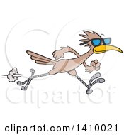 Poster, Art Print Of Sprinting Roadrunner Bird Wearing Sunglasses