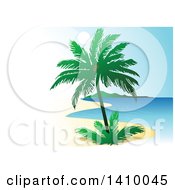 Poster, Art Print Of Travel Background Of A Coconut Palm Tree And Coastline With White Text Space On The Left
