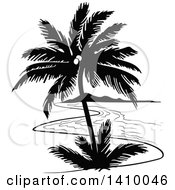 Poster, Art Print Of Black And White Travel Design Of A Coconut Palm Tree And Coastline