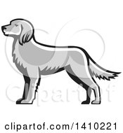 Poster, Art Print Of Retro Grayscale English Setter Dog