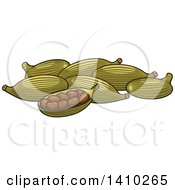 Clipart Of Cardamom Culinary Herb Spice Royalty Free Vector Illustration