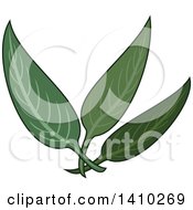 Clipart Of A Culinary Herb Spice Sage Royalty Free Vector Illustration by Vector Tradition SM