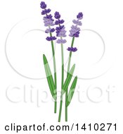 Clipart Of A Culinary Herb Spice Lavender Royalty Free Vector Illustration