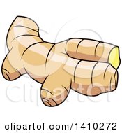 Clipart Of A Culinary Herb Spice Ginger Root Royalty Free Vector Illustration