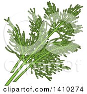 Poster, Art Print Of Culinary Herb Spice - Dill