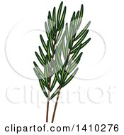 Clipart Of A Culinary Herb Spice Rosemary Royalty Free Vector Illustration