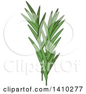 Clipart Of A Culinary Herb Spice Tarragon Royalty Free Vector Illustration