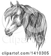 Poster, Art Print Of Gray Sketched Horse Head