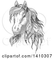 Poster, Art Print Of Gray Sketched Horse Head