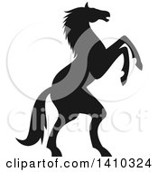Clipart Of A Black Silhouetted Rearing Horse Royalty Free Vector Illustration