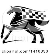 Black And White Horse With A Checkered Racing Flag Mane