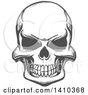 Clipart Of A Gray Sketched Human Skull Royalty Free Vector Illustration