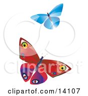 Two Colorful Butterflies One Blue One Red With Patterns Fluttering Over A White Background