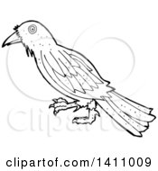 Poster, Art Print Of Cartoon Black And White Lineart Bird