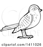 Poster, Art Print Of Cartoon Black And White Lineart Bird