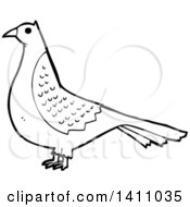 Poster, Art Print Of Cartoon Black And White Lineart Bird