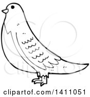 Clipart Of A Cartoon Black And White Lineart Bird Royalty Free Vector Illustration