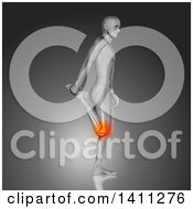 Clipart Of A 3d Anatomical Man Stretching A Leg With Visible Bones And Knee Pain On Gray Royalty Free Illustration by KJ Pargeter