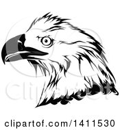 Poster, Art Print Of Grayscale Eagle Head