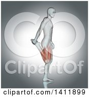 Clipart Of A 3d Anatomical Man Stretching A Leg With Visible Muscles On Gray Royalty Free Illustration