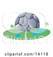 Soccer Ball Shaped Building