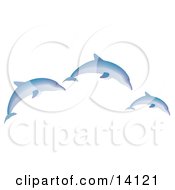 Three Blue Dolphins Jumping Wildlife Clipart Illustration by Rasmussen Images #COLLC14121-0030