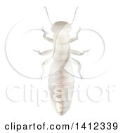 Clipart Of A 3d Dampwood Termite Worker From Above Royalty Free Illustration