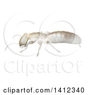 Clipart Of A 3d Dampwood Termite Worker In Profile Royalty Free Illustration