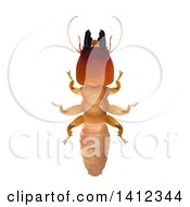 3d Termite Soldier From Above