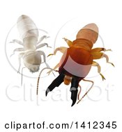 3d White And Brown Dampwood Termite Soldier And Worker