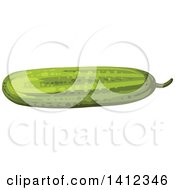 Clipart Of A Cucumber Royalty Free Vector Illustration