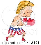 Poster, Art Print Of Sketched Caricature Of A Boxing Donald Trump In American Shorts
