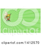 Clipart Of A Sketched Worker Bee Flying With A Round Gift Box And Green Rays Background Or Business Card Design Royalty Free Illustration