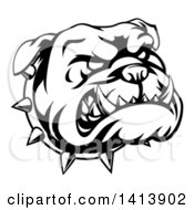 Poster, Art Print Of Black And White Snarling Bulldog Face And Spiked Collar