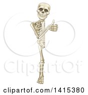 Clipart Of A Cartoon Human Skeleton Giving A Thumb Up Around A Sign Royalty Free Vector Illustration by AtStockIllustration