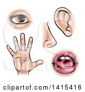 Clipart Of The Five Senses Sight Smell Hearing Touch And Taste Royalty Free Vector Illustration by AtStockIllustration