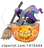 Poster, Art Print Of Cute Black Halloween Witch Cat In A Jackolantern