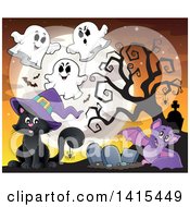 Cute Black Halloween Witch Cat In A Cemetery With Ghosts And A Bat