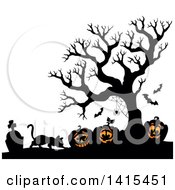 Poster, Art Print Of Cat With Lit Jackolanterns In A Cemetery With A Silhouetted Bare Tree