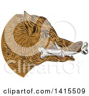 Clipart Of A Sketched Wild Boar Pig Head With A Bone In Its Mouth Royalty Free Vector Illustration