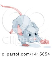 Poster, Art Print Of Cute Gray Mouse Running