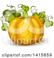Clipart Of A Pumpkin On The Vine Royalty Free Vector Illustration