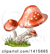Poster, Art Print Of Group Of Mushrooms