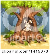 Poster, Art Print Of Rabbit In A Tree Hollow