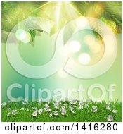 Poster, Art Print Of 3d Hill With Daisies And Grass Against Green Flares With Leaves