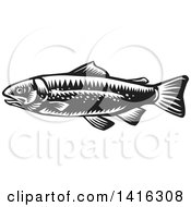 Retro Black And White Woodcut Spotted Trout Fish