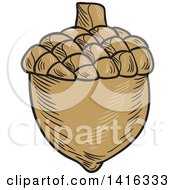 Clipart Of A Sketched Acorn Nut Royalty Free Vector Illustration