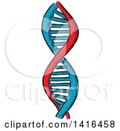 Poster, Art Print Of Sketched Dna Strand