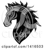 Poster, Art Print Of Tough Gray Horse Head